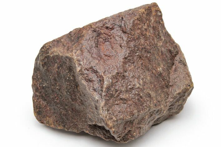 Chondrite Meteorite ( g) - Western Sahara Desert #226938